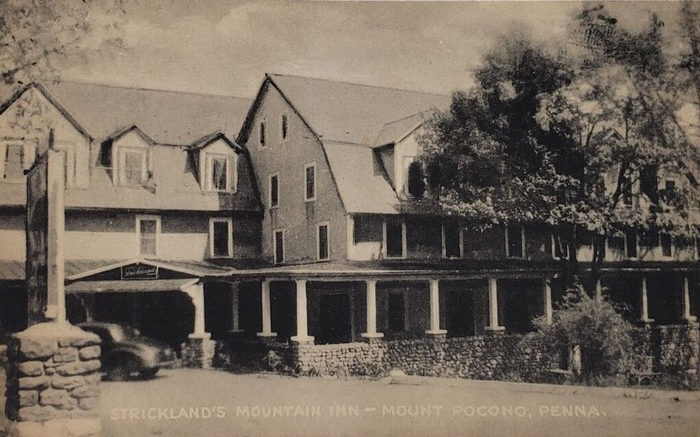 Stricklands Mountain Inn and Cottages - Vintage Postcard And Photo